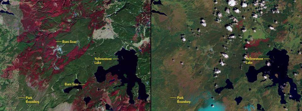 NASA's Images of Change: Yellowstone National Park fire and fire scarring (Credit: NASA)