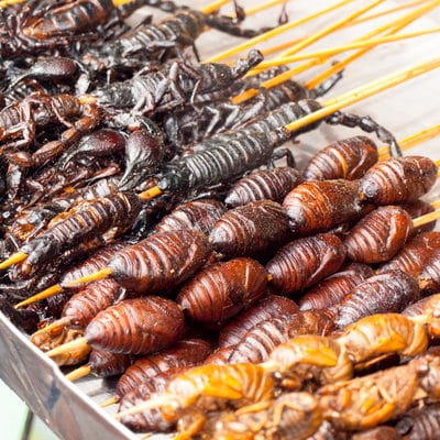 insects-food-eat