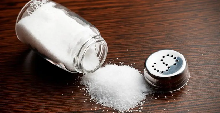 Scandalous Revelations About Table Salt Marketed in Algeria