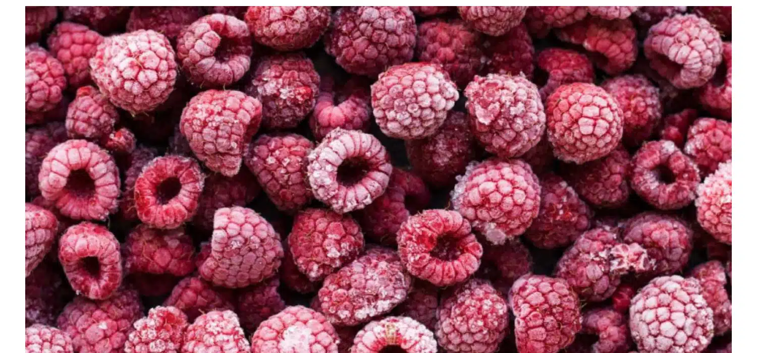 Raspberry Exports to the EU: Morocco Joins the Podium