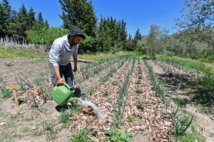 In Tunisia, Permaculture Flourishes in the Face of Climate Challenges