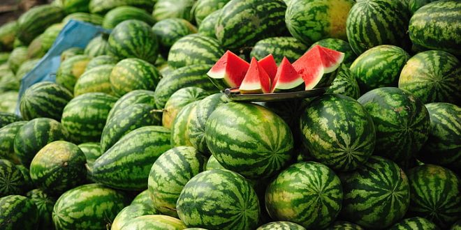 Spanish Farmers Are Still Hounding Morocco’s Watermelons