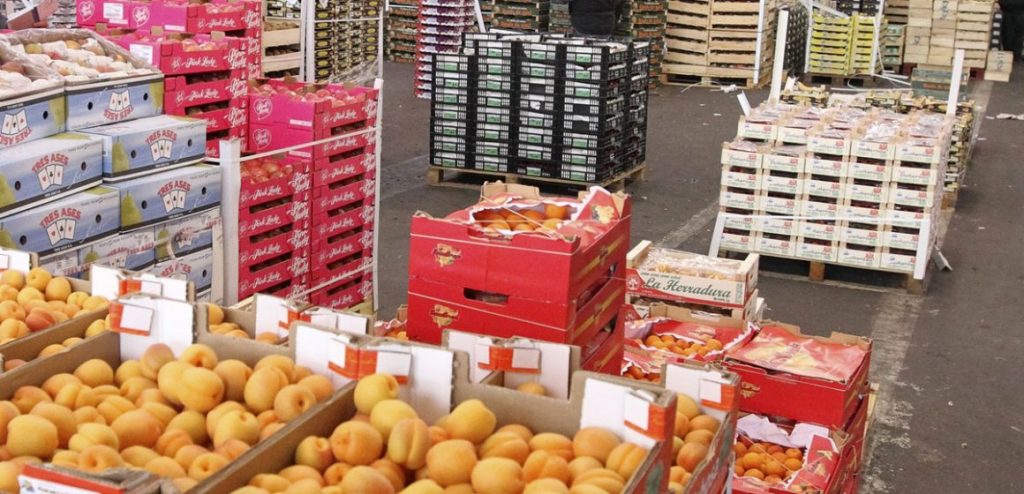 Tunisia Records a Drop in the Food Trade Balance Deficit