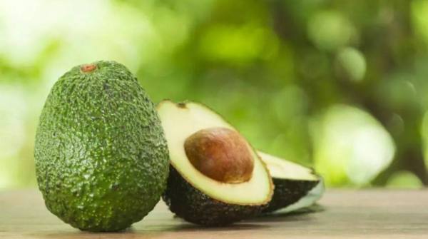 Avocados/Export: 70% Of the Objective Achieved Two Months before the End of the 2023-2024 Season