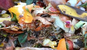 Food Waste: Algerians Throw 30% of Their Food in the Trash